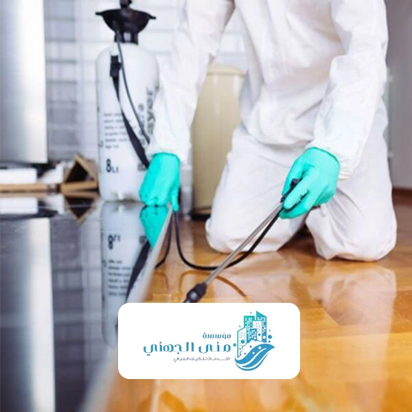 رش البيوت من الحشرات مكه