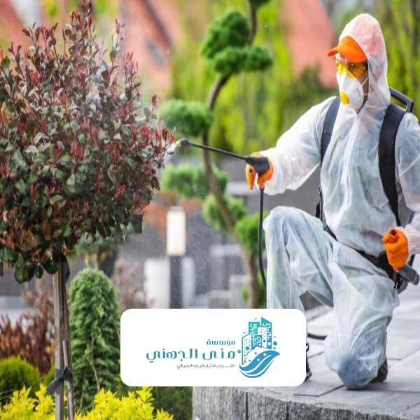 رش المنازل بالمبيدات الحشرية جده