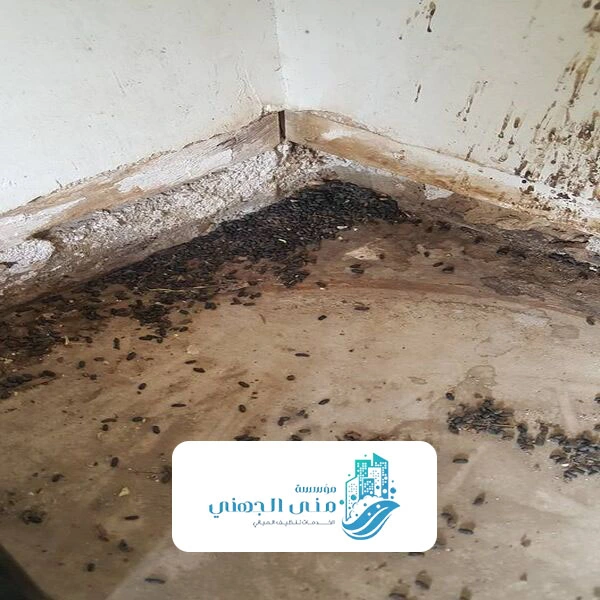 عامل رش مبيدات منازل جده