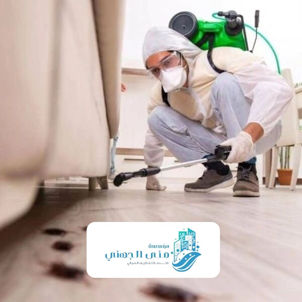 رش المنازل بالمبيدات الحشرية جده