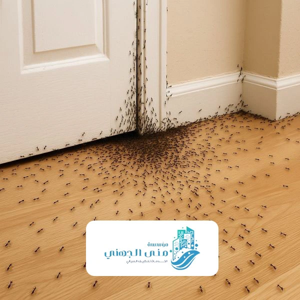 رش الحدائق من الحشرات الرياض